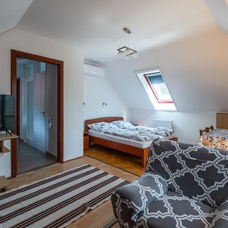 Tanczos Vendeghaz Apartmán *